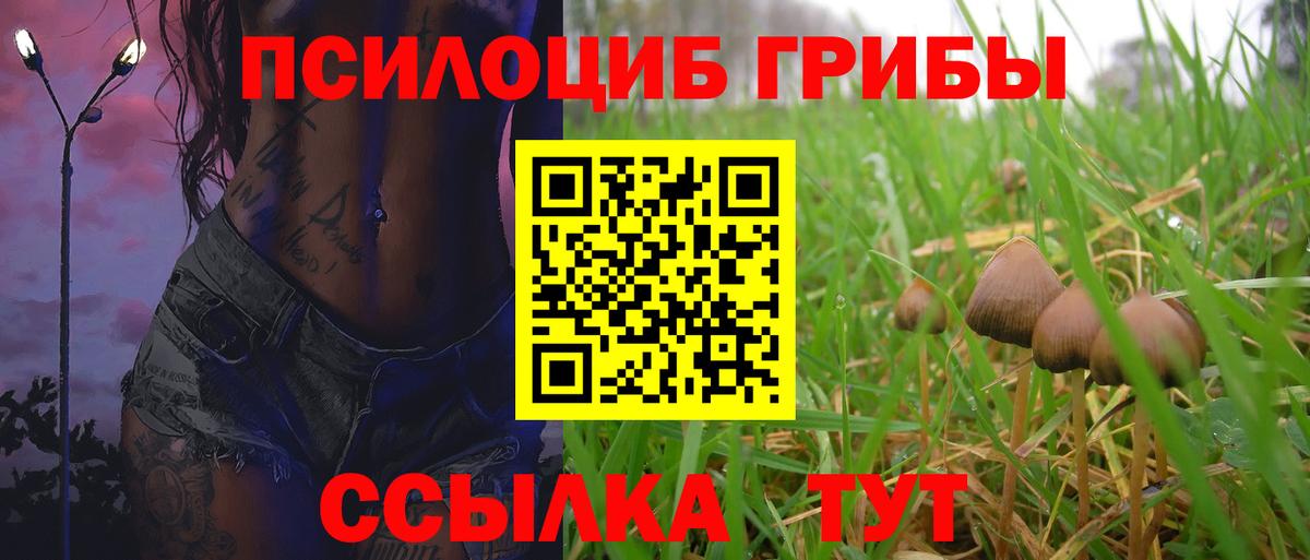 Псилоцибиновые грибы Psilocybine cubensis  Псилоцибиновые грибы GOLDEN TEACHER  Вход с VPN  Заводоуковск 